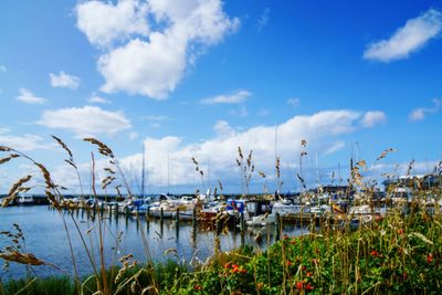 Scenic view of bay against sky