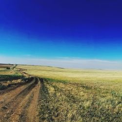 Scenic view of field against blue sky