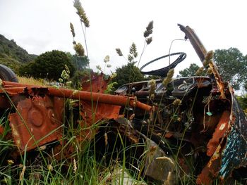 Car on field