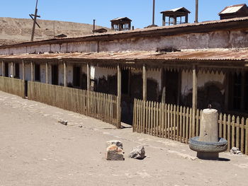 View of horse in front of building