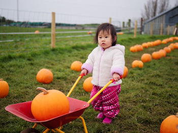 Cute baby girl with pumpkins at lawn