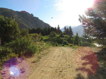 Dirt road amidst trees and plants against sky