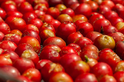 Full frame shot of tomatoes in market