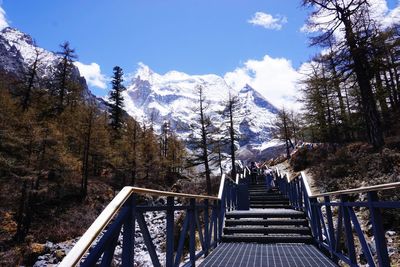 Footbridge amidst trees against sky during winter