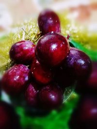 Close-up of grapes