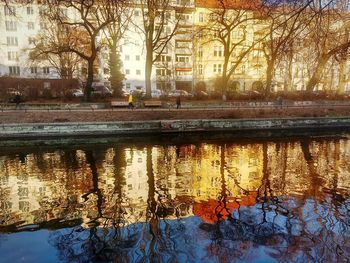 Reflection of trees in water