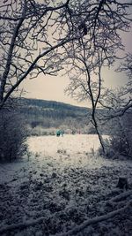 Bare trees on landscape against sky during winter