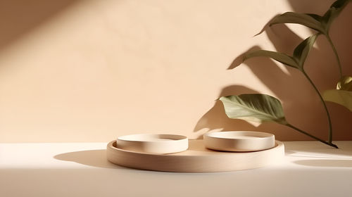 Close-up of potted plant on table