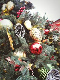 Close-up of christmas tree