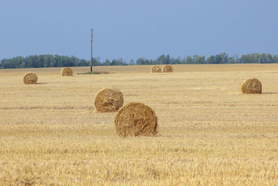 Hay bales on field against sky