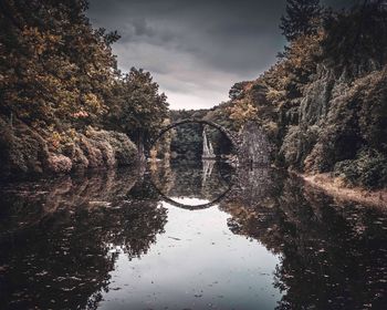 Reflection of tree in water against sky