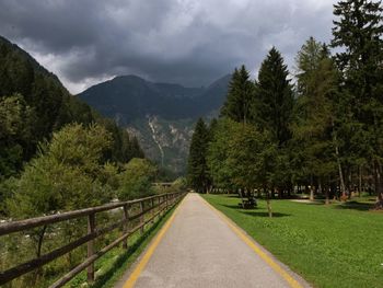 Scenic view of trees and mountains against sky