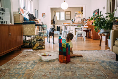 Young boy building a tower with magnet tiles while dog watches