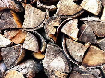 Full frame shot of logs in forest