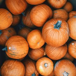 Full frame shot of pumpkins at market