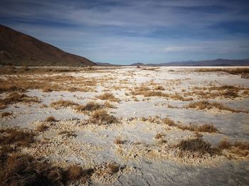 Scenic view of desert against sky