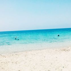 sea