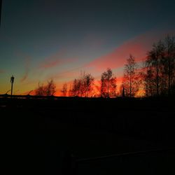 Silhouette trees against sky during sunset