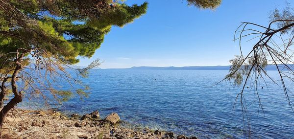 Scenic view of lake against clear blue sky