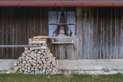 Full frame shot of logs