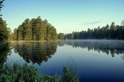 Reflection of trees in calm lake