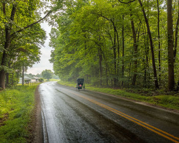 Road amidst trees in forest