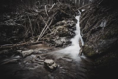 River flowing through rocks in forest