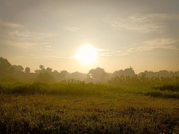 Scenic view of field against sky during sunset