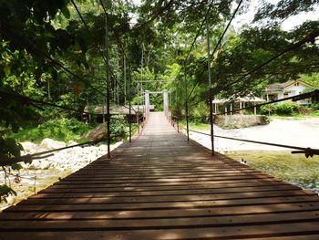 Wooden footbridge amidst trees in forest