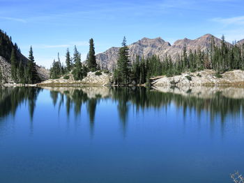 Scenic view of lake by trees against blue sky