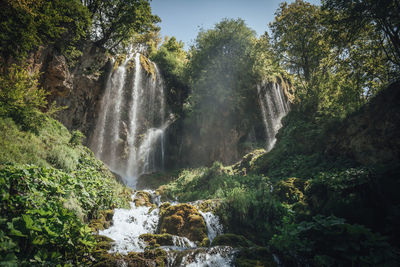 Scenic view of waterfall in forest