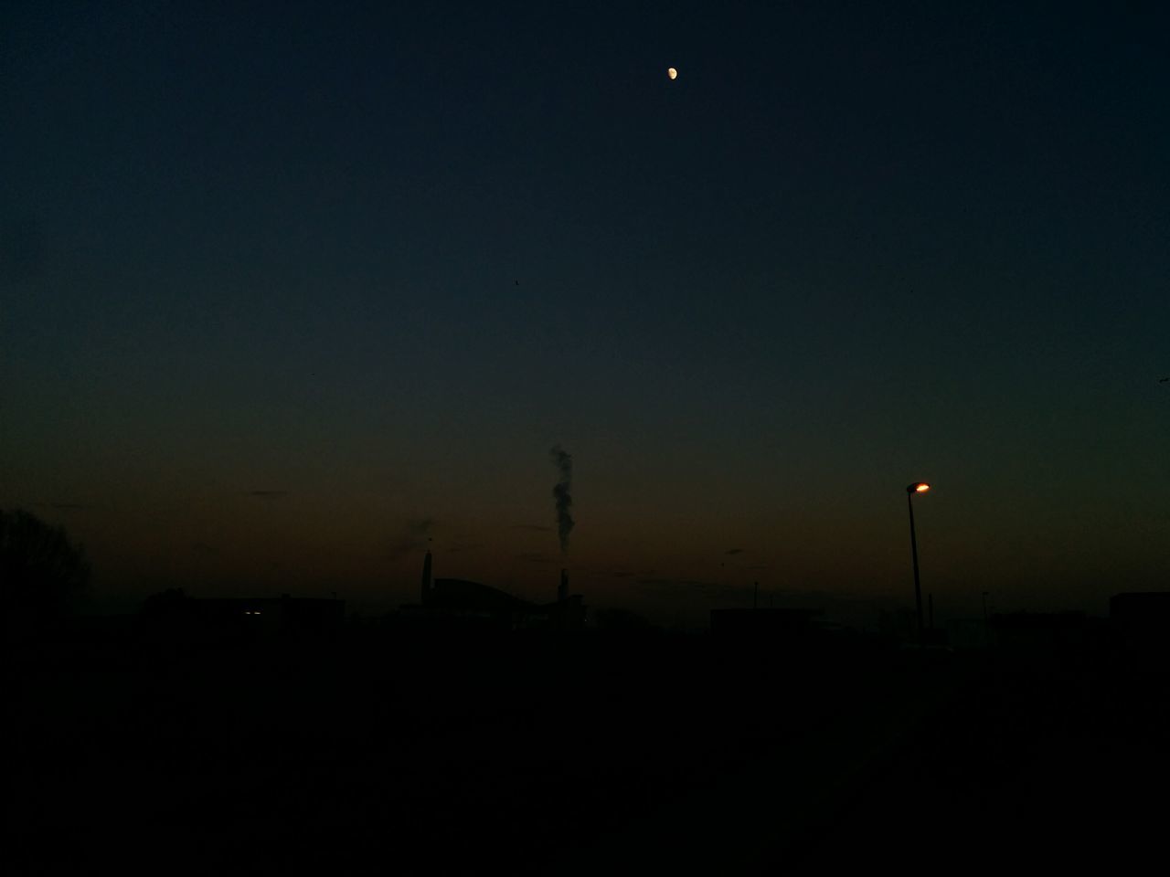 SILHOUETTE OF TREES AT NIGHT