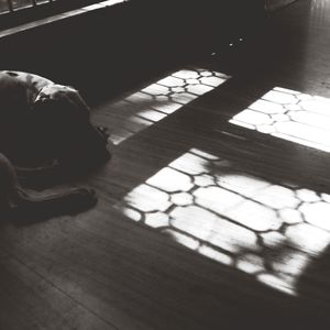 High angle view of shadow on floor