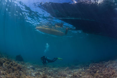 Scuba diver under sea