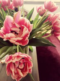 Close-up of pink orchids blooming indoors