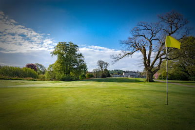 Scenic view of golf course against sky