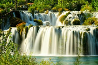 Scenic view of waterfall in forest