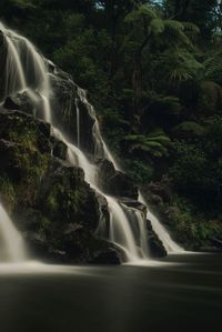 Scenic view of waterfall in forest