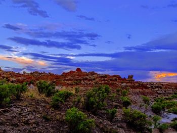 Scenic view of landscape against cloudy sky