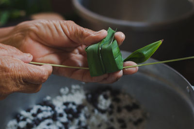 Close-up of hand holding leaves