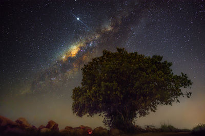star