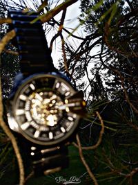 Low angle view of clock hanging on tree
