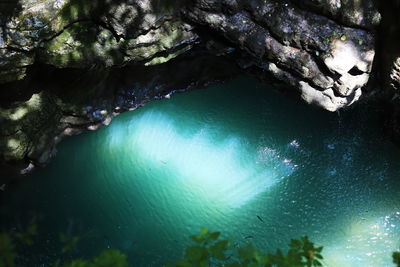 High angle view of rocks in forest