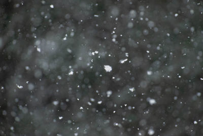 Full frame shot of snowflakes on snow
