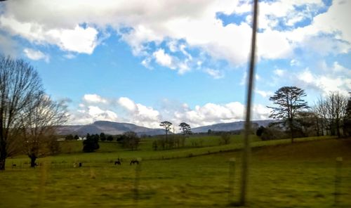 Scenic view of grassy field against cloudy sky