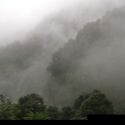 Scenic view of forest against cloudy sky