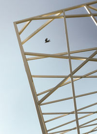 Low angle view of birds flying against clear sky