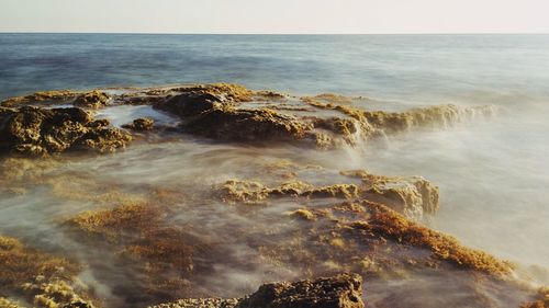 Scenic view of sea against clear sky