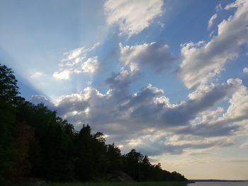 Low angle view of trees against sky during sunset