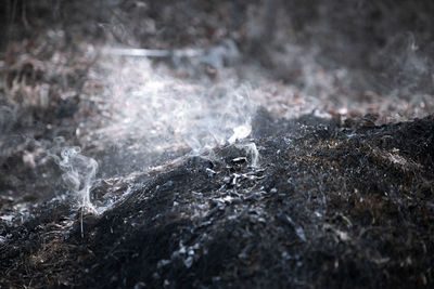 Close-up of smoke emitting from ash